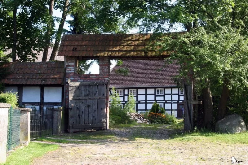 swołowo 5 Festiwal Gęsiny - Krainia w Kratę - Swołowo