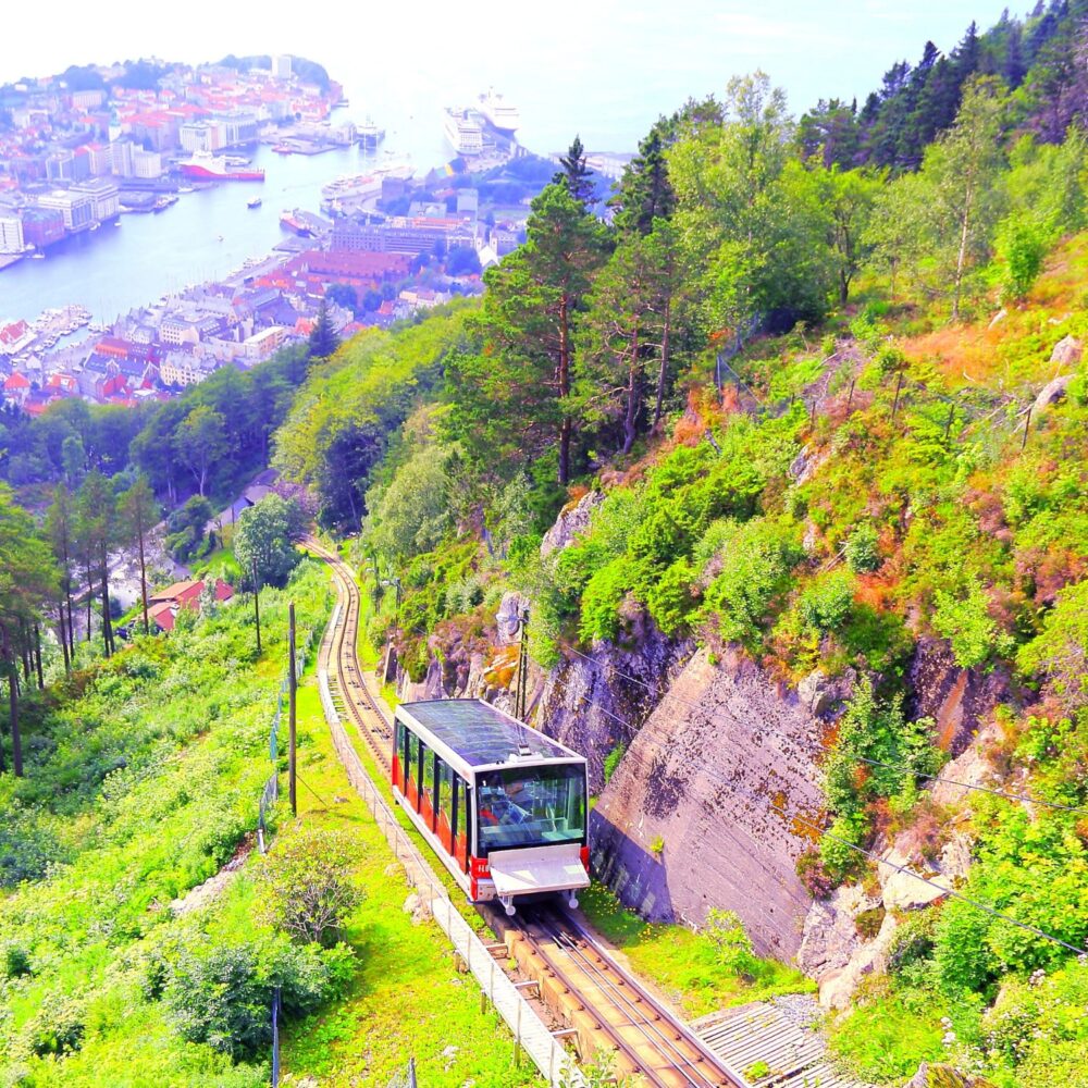 132 BERGEN W JEDEN DZIEŃ