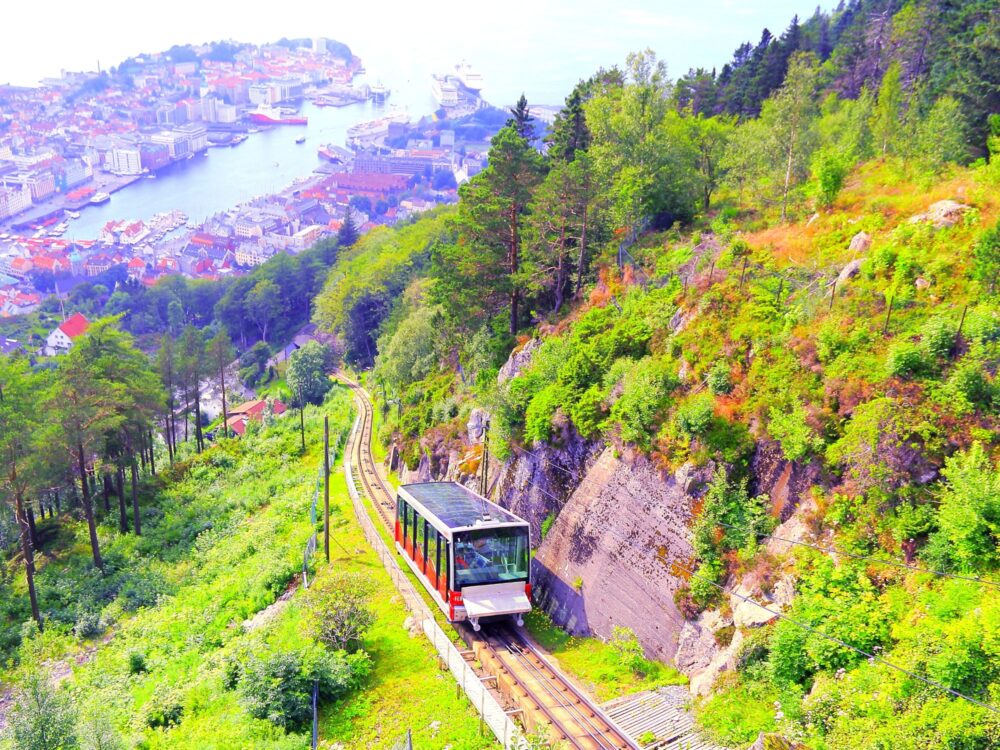132 BERGEN W JEDEN DZIEŃ