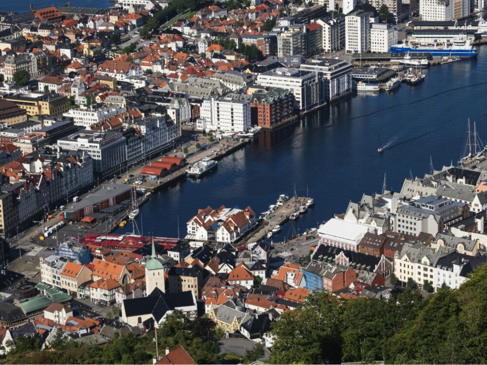 133 BERGEN W JEDEN DZIEŃ