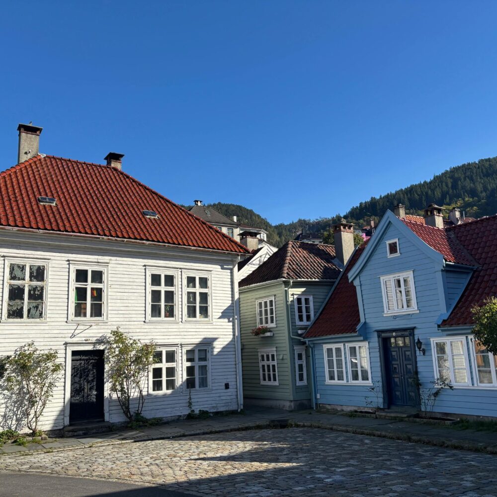 134 BERGEN W JEDEN DZIEŃ
