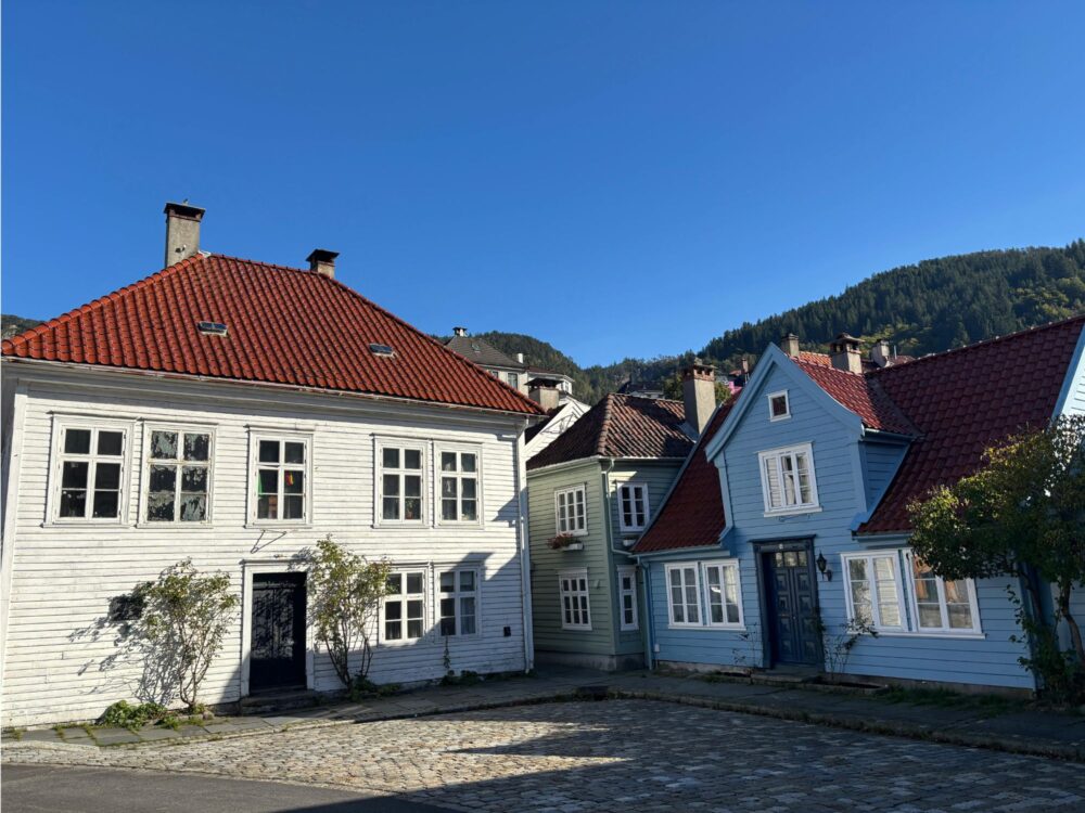 134 BERGEN W JEDEN DZIEŃ