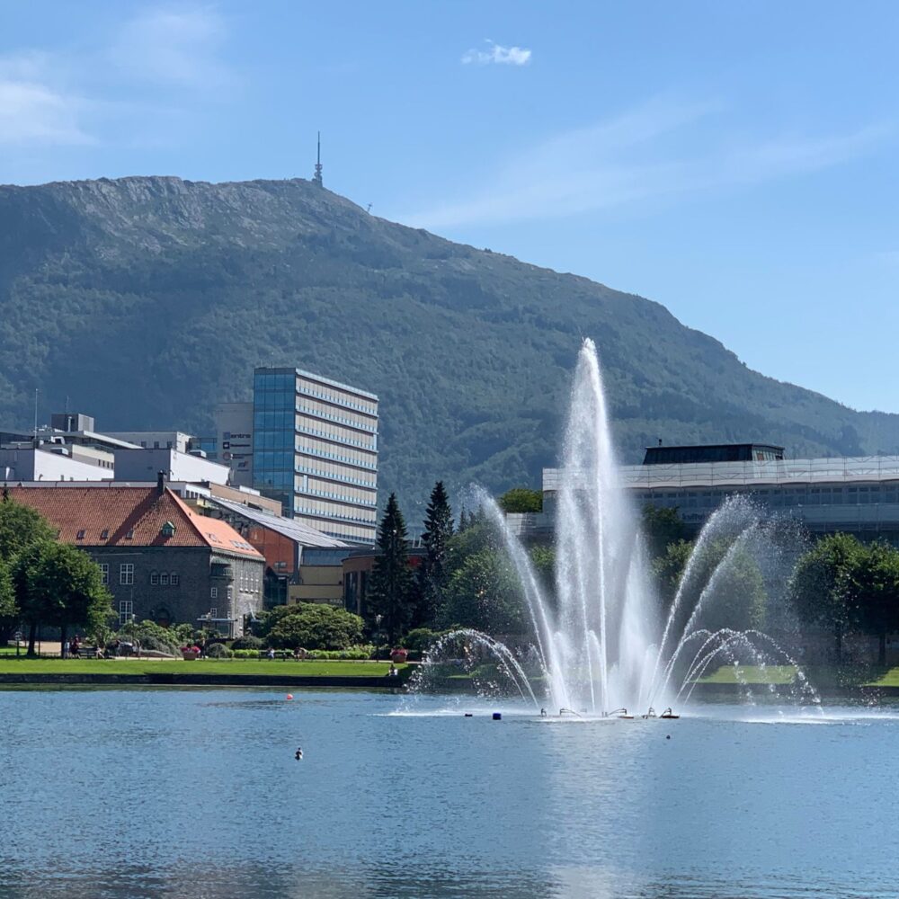 137 BERGEN W JEDEN DZIEŃ