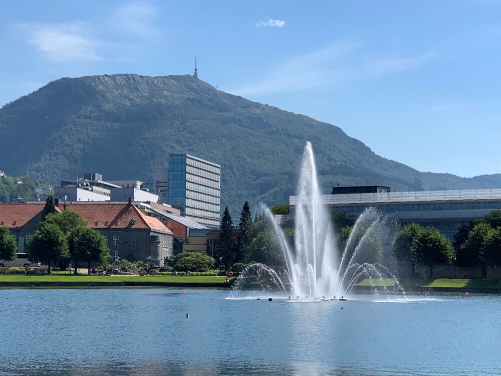137 BERGEN W JEDEN DZIEŃ