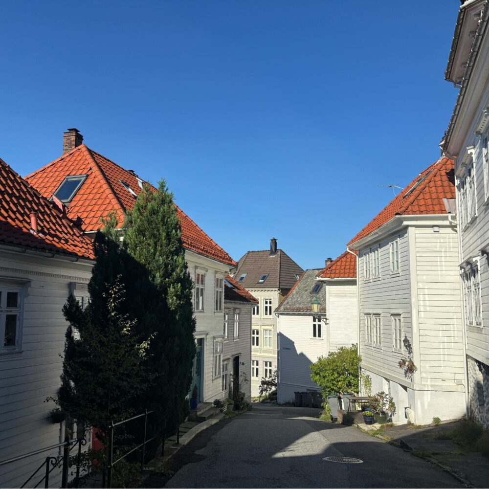 138 BERGEN W JEDEN DZIEŃ
