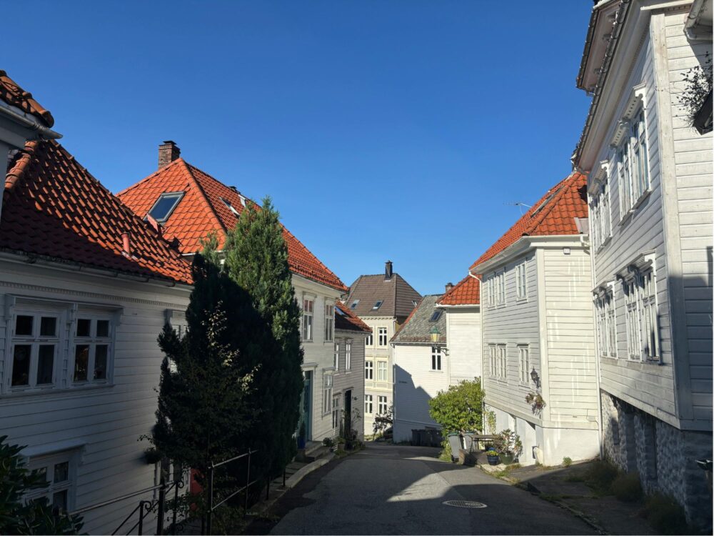 138 BERGEN W JEDEN DZIEŃ