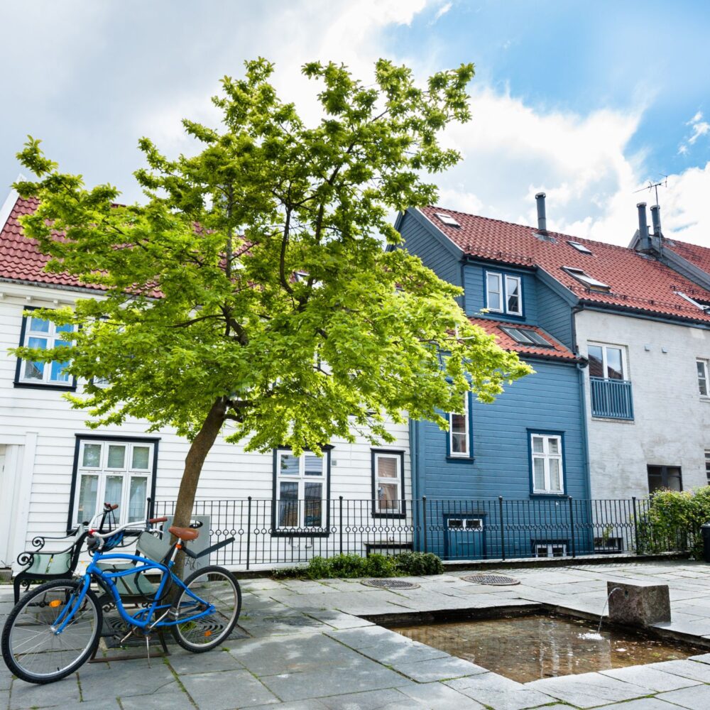 145 BERGEN W JEDEN DZIEŃ