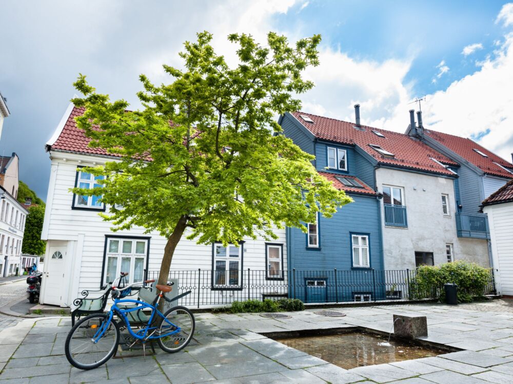 145 BERGEN W JEDEN DZIEŃ