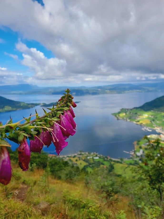 WEEKEND W NORWEGII - LYSEFJORD, KJERAG I WODOSPADY