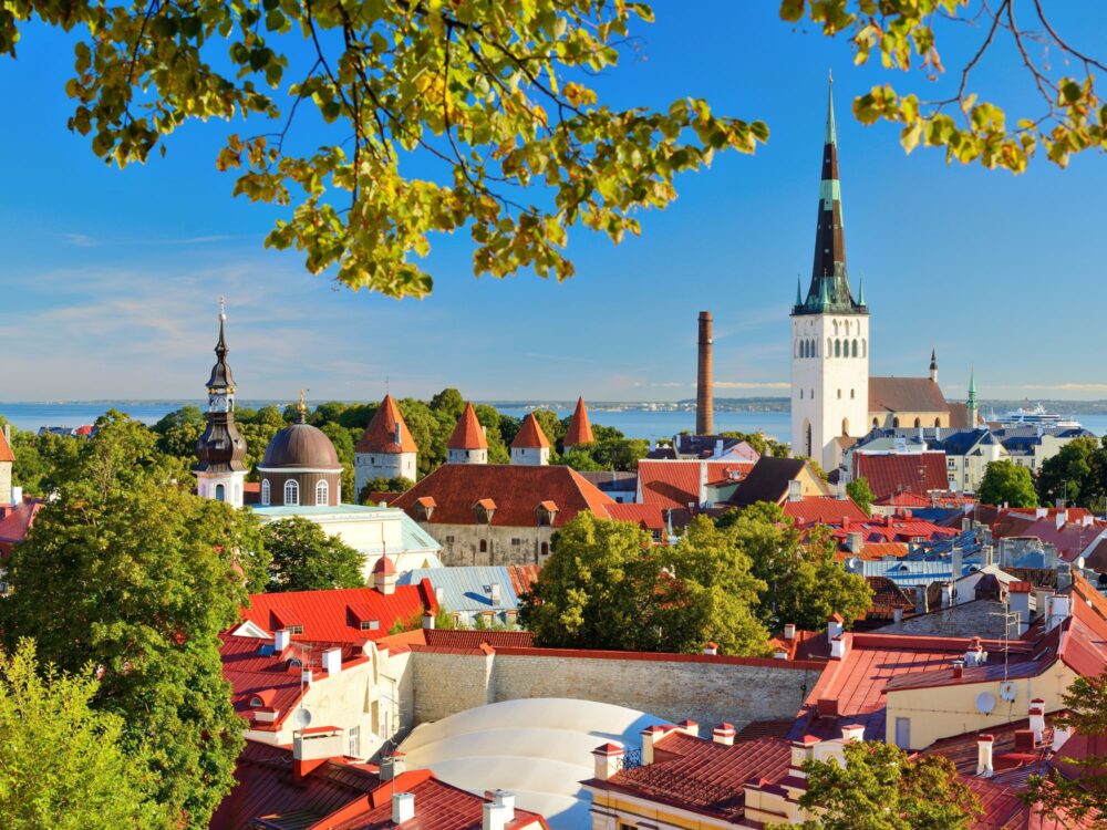 48 Białe noce w Tallinnie