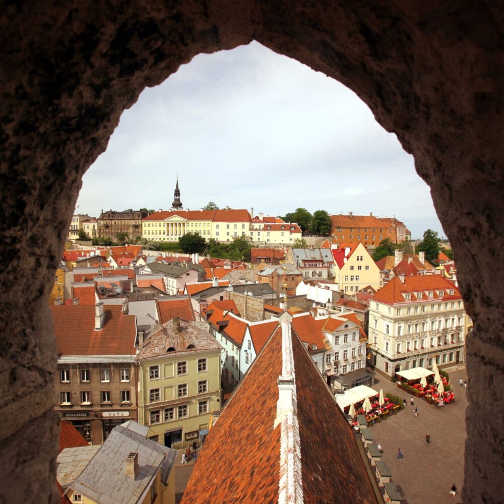 49 Białe noce w Tallinnie