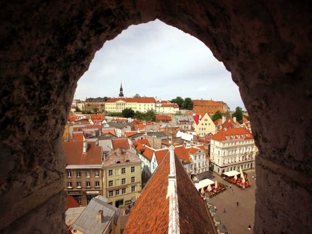 49 Białe noce w Tallinnie