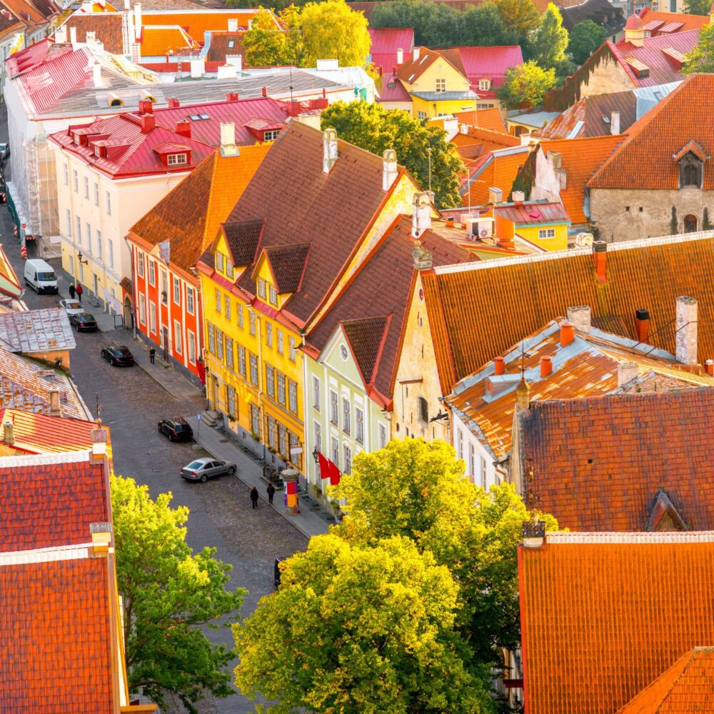 59 Białe noce w Tallinnie