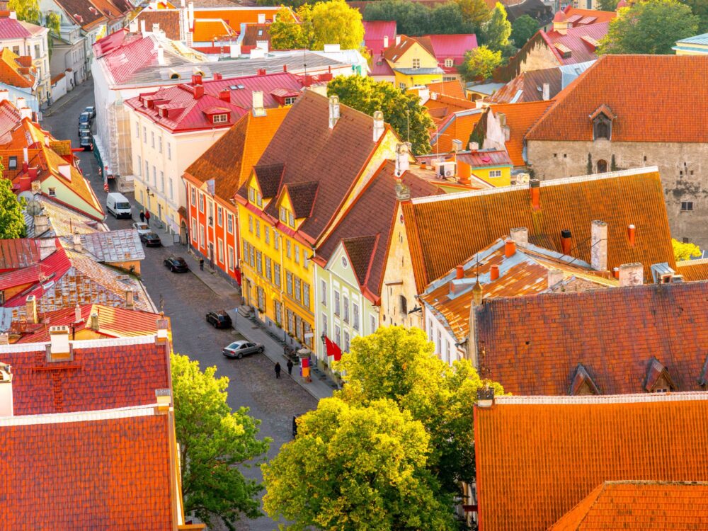 59 Białe noce w Tallinnie